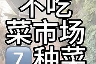 真好用啊！迪文岑佐半场10中5&三分6中2拿到12分5板2断